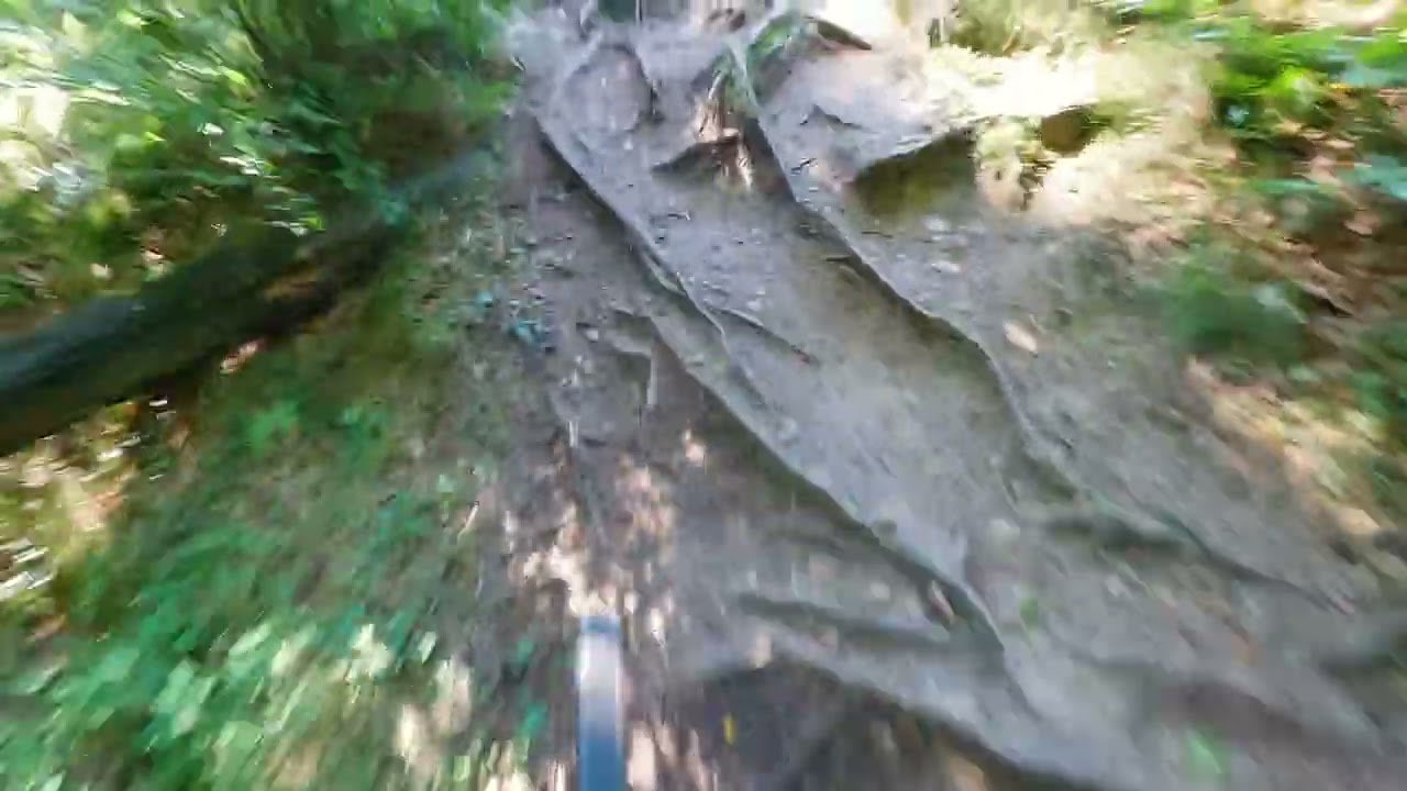 MTB FlatPedal Test aufm Orbea Occam durchn Ebersberger Forst - 4K
