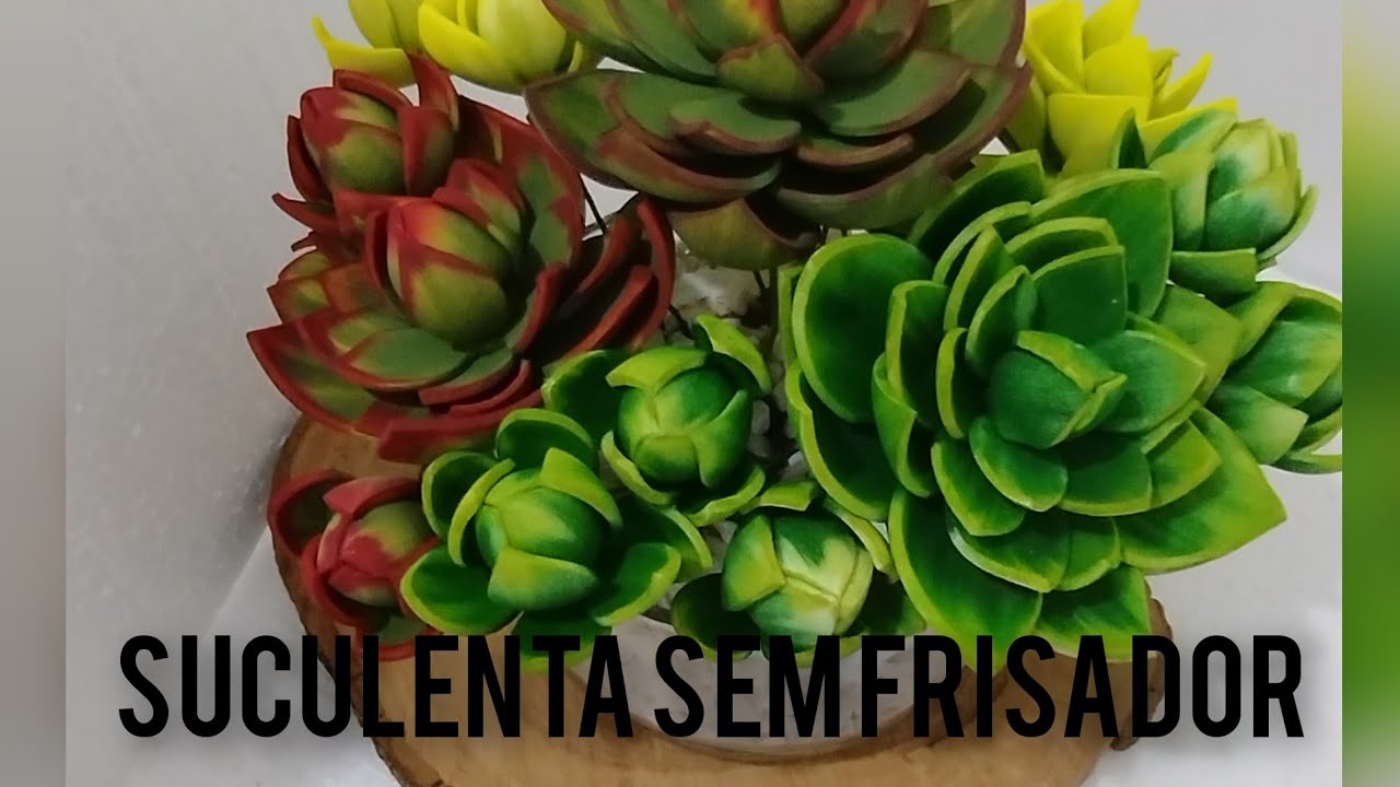 como fazer suculentas  catavento em Eva passo a passo