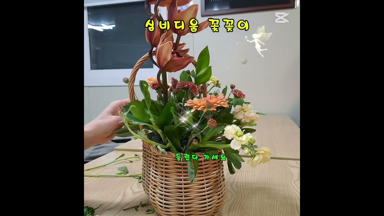 심비디움 꽃꽂이 #일상 #행복 #꽃바구니 #심비디움 #flowers  #시작 #취미 #감사
