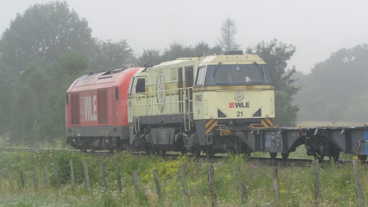 WLE Sichtungsvideo Juli 2021