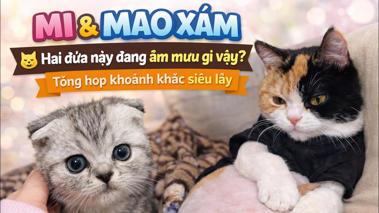TỔNG HỢP NHỮNG KHOẢNH KHẮC ĐÁng Yêu của Ni