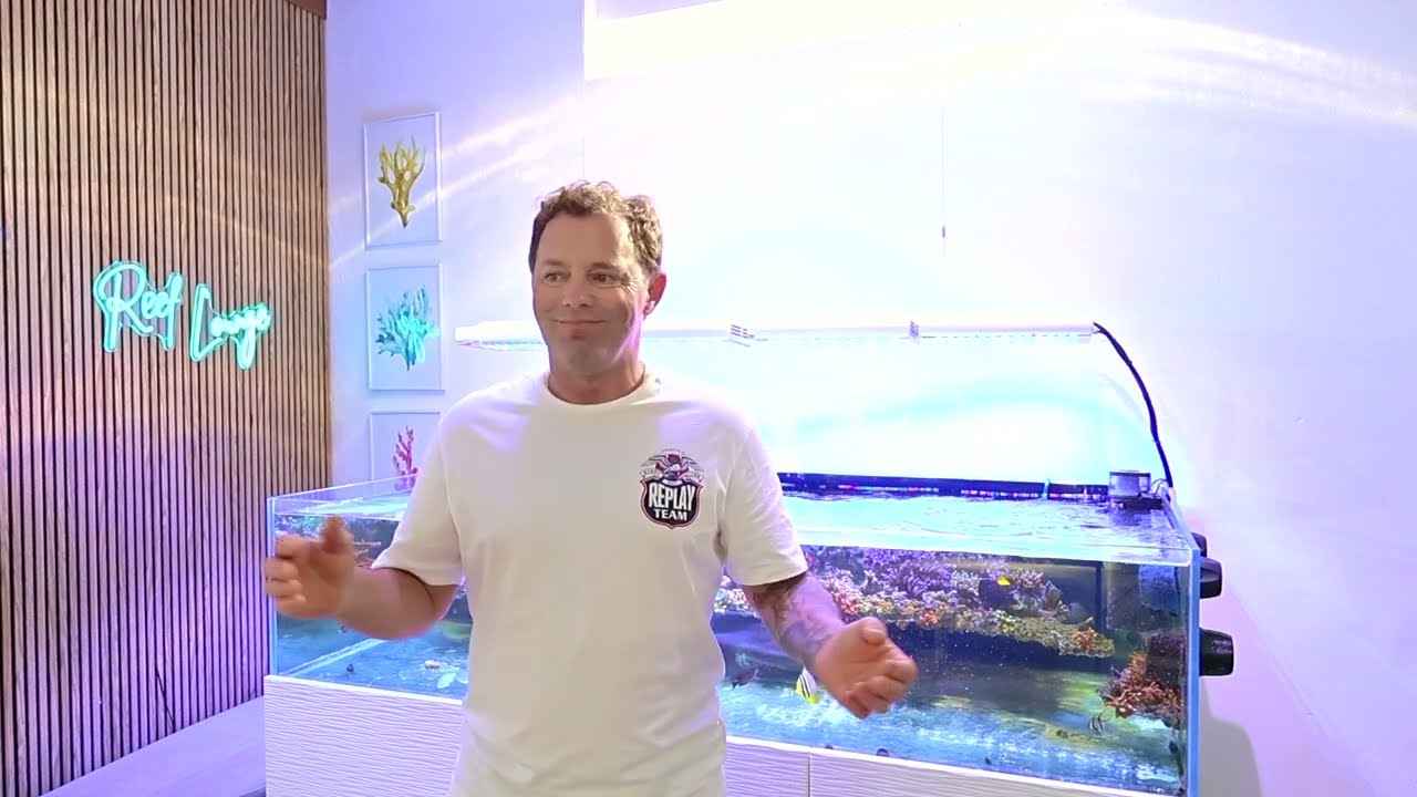 4 comentarios y 4 respuestas Acuario marino, New