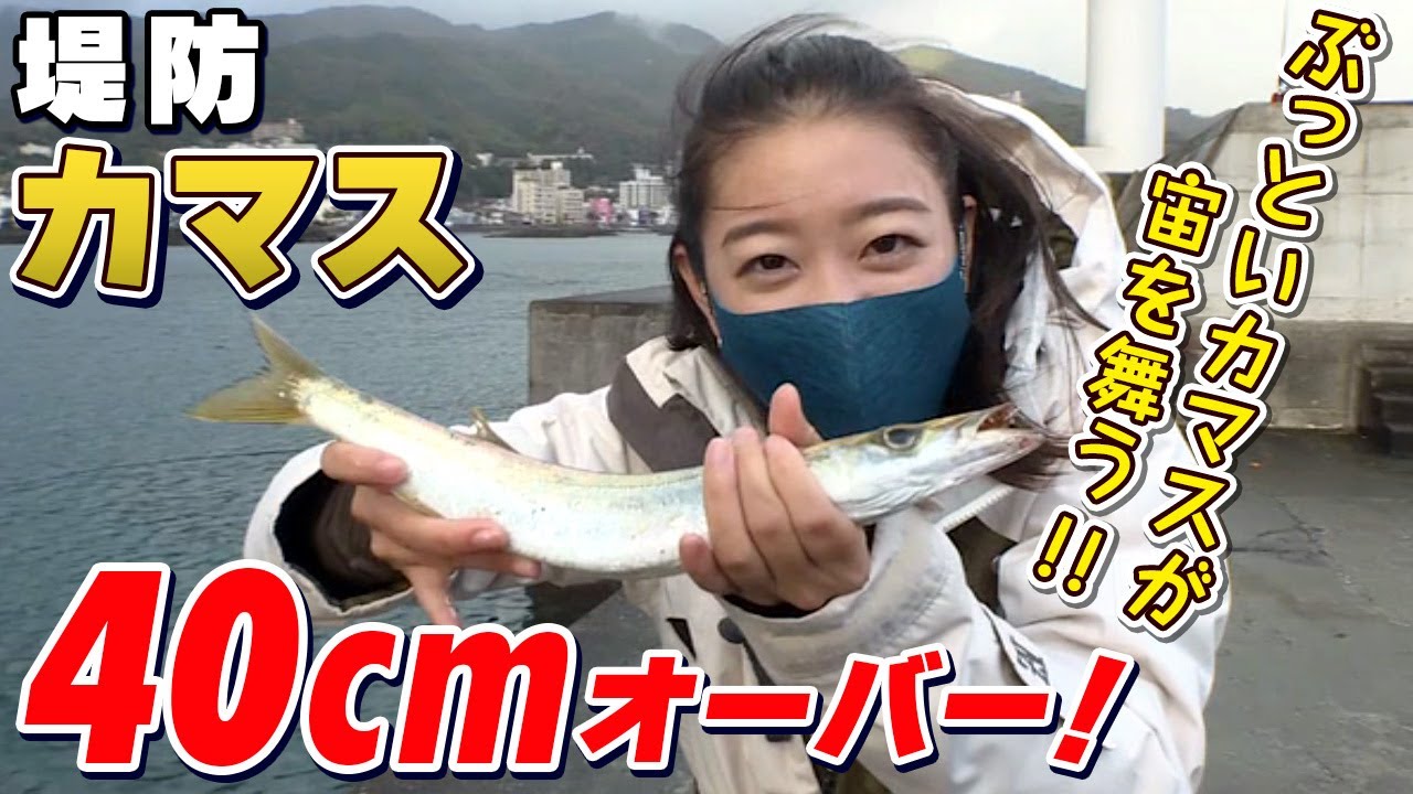 GO!GO!九ちゃんフィッシング #401　「釣ったら食べる！堤防カマス釣り！（前篇） ウキ釣りで大物ゲットならオシャレレシピ！」