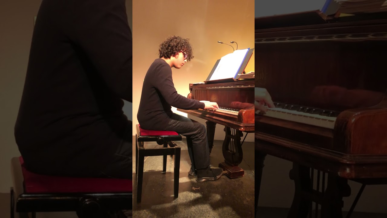Gaël Tarrit interprète Avalanche de Stephen Heller