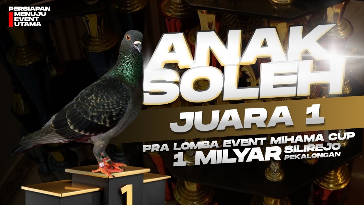 ANAK SOLEH SANG JUARA PRA LOMBA 1 MILYAR MIHAMA CUP SILIREJO #merpatikolong 
