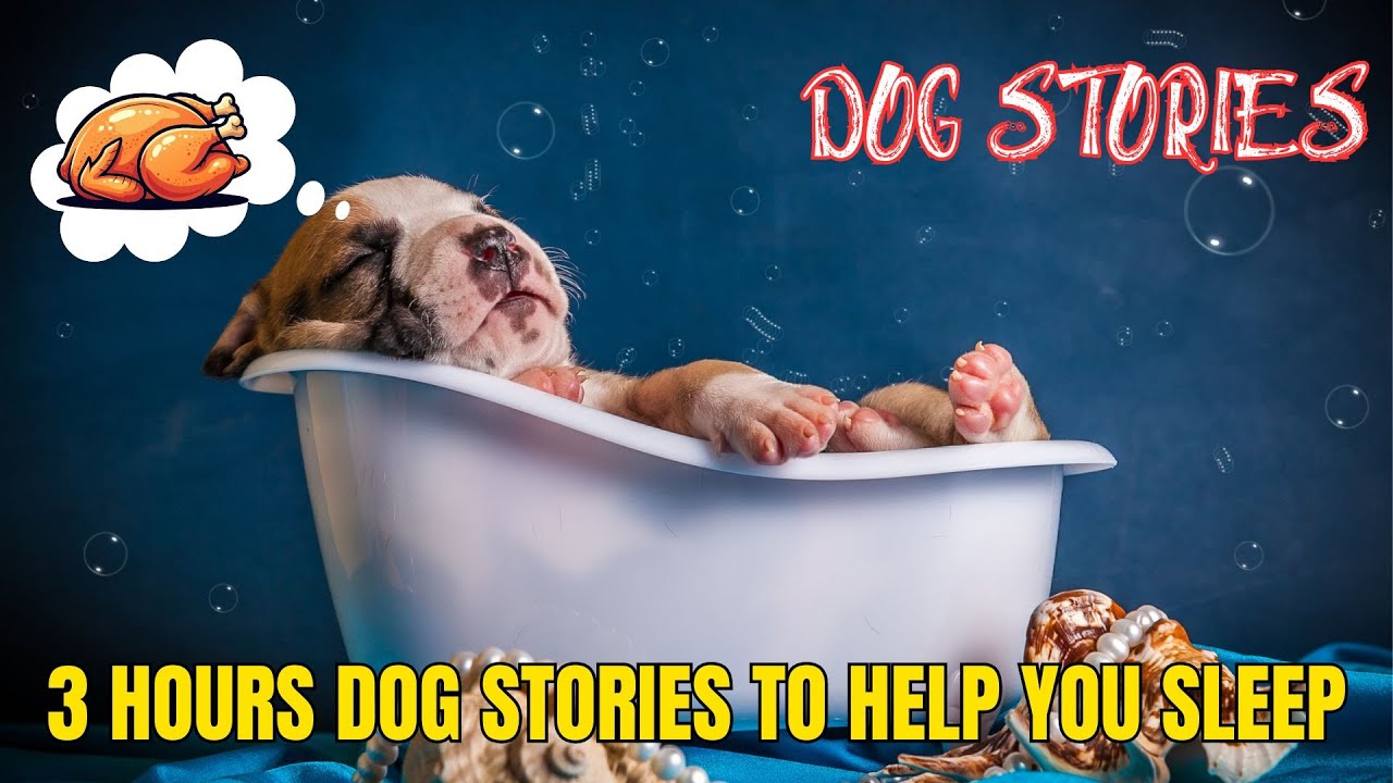 Courageous Dog Stories &ndash; Heartwarming Tales of Loyalty and Bravery 🐶💪