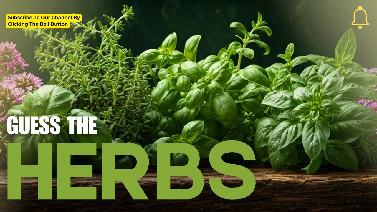 Herb Challenge: Can You Identify These Herbs? #herbs #quiz