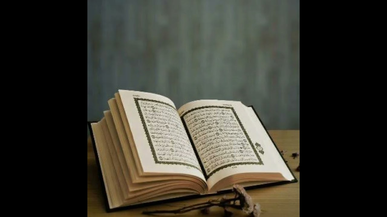 ٧ نوفمبر ٢٠٢٥