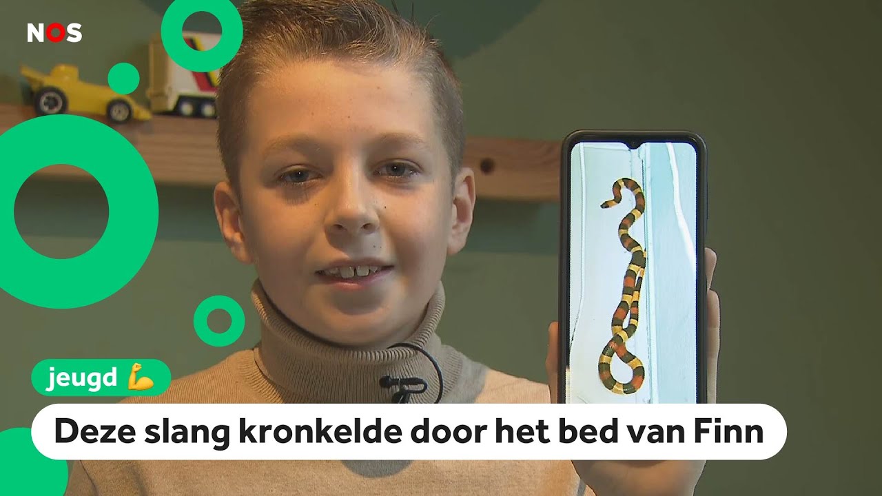 Giftige slang is nog steeds kwijt en dat is niet de enige