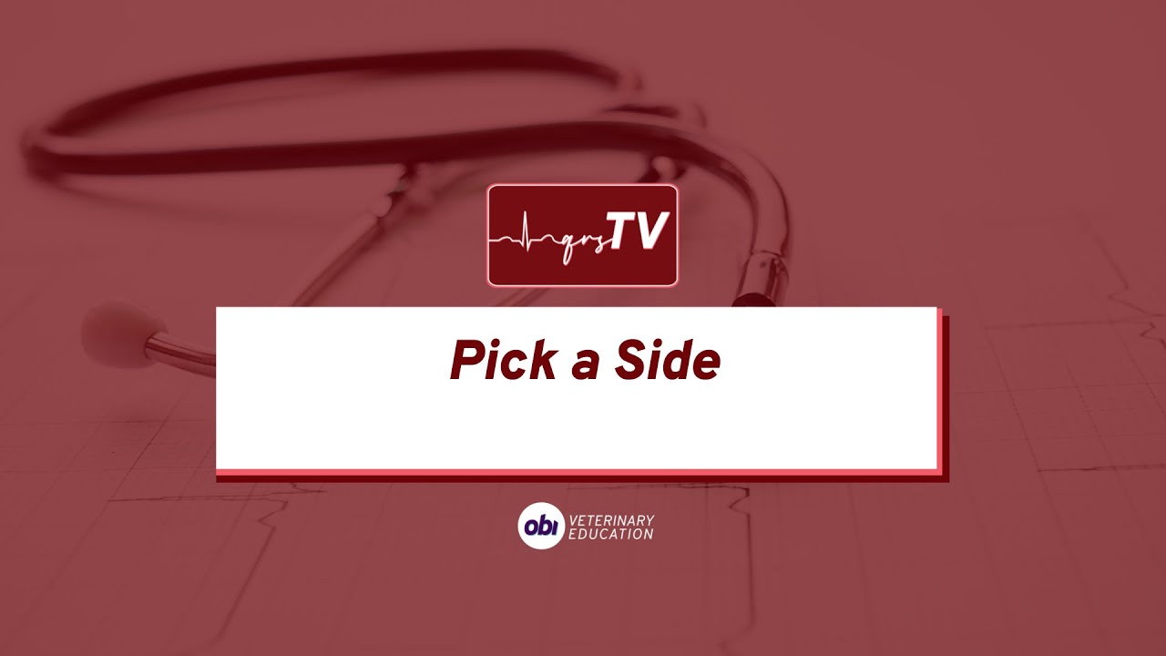 Pick a Side - qrsTV - Veterinary Cardiology Explained