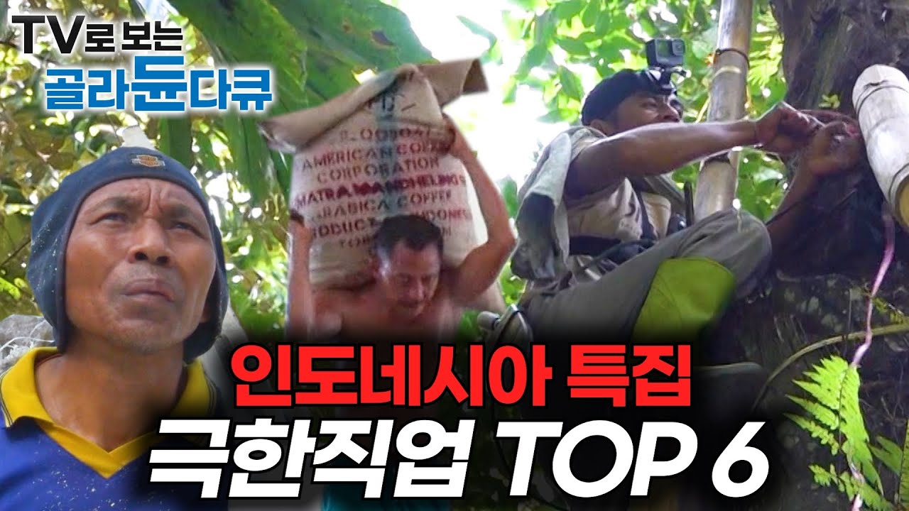(ENG SUB) 🔥목숨 내놓고 생계유지하는 인도네시아 극한직업 TOP6 몰아보기｜Indonesian Extreme Jobs Compilation｜극한직업｜#tv로보는골라듄다큐