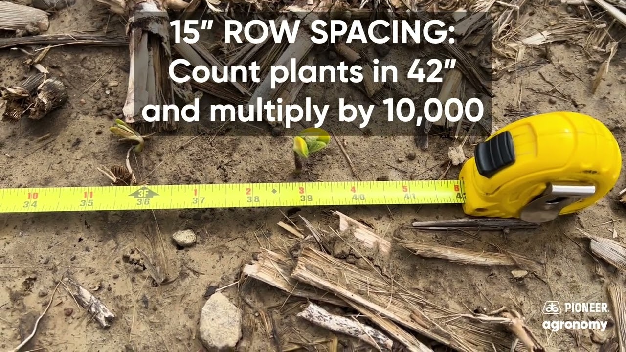 Quick & Easy Soybean Stand Counts | Pioneer® Agronomy Tips