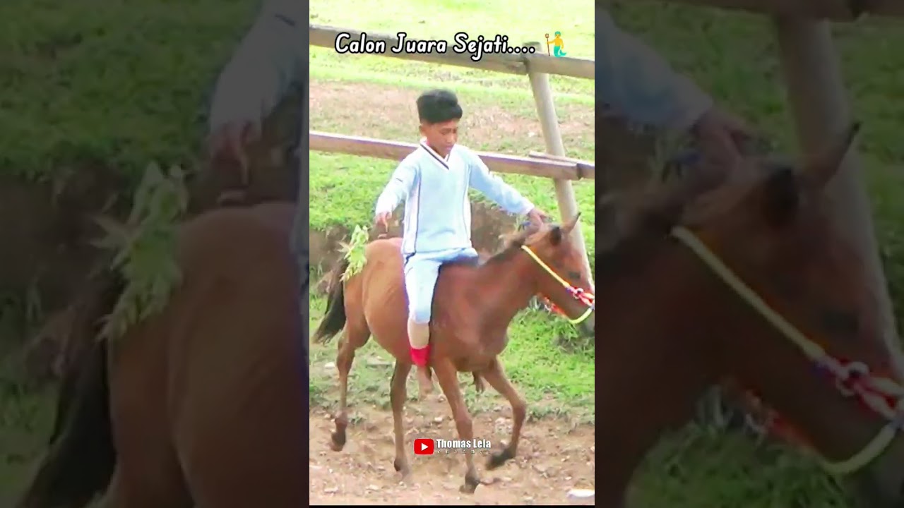 Calon Juara #Horse#Kudapacu#Trending#Pengikut#sorotan