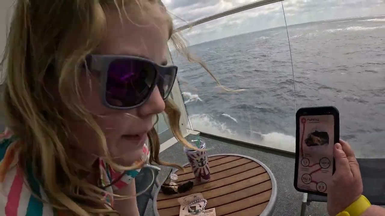 Tracking Turtles with My Fahlo Bracelet: A One-of-a-Kind Cruise Souvenir