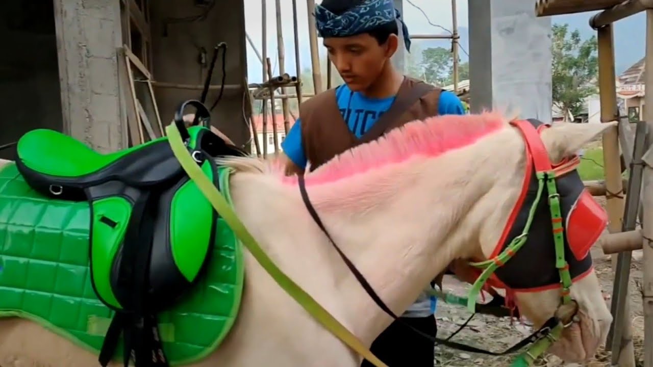 Impian Tak Selebar Tapal Kuda | Short Movie