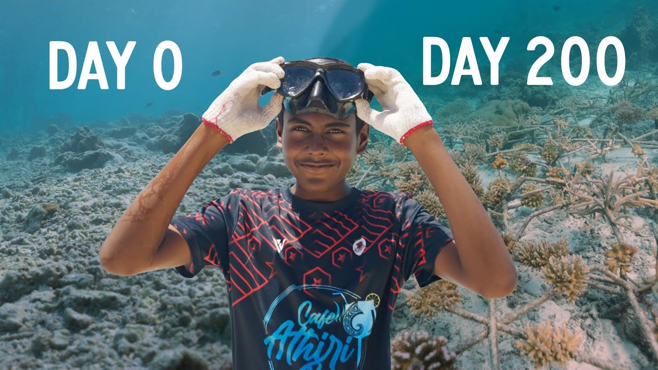 This community is rebuilding their coral reef