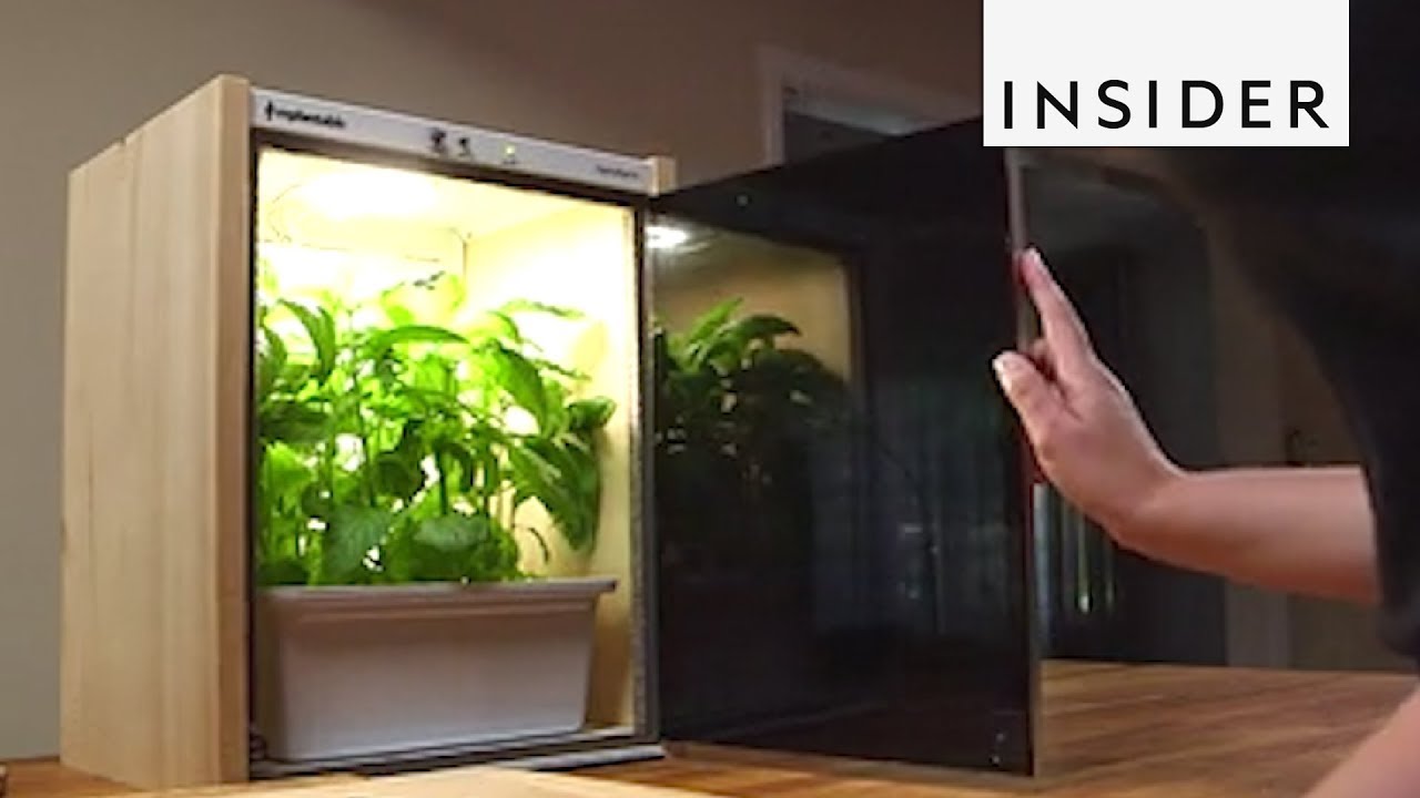 Inventions to Make Your Home Greener