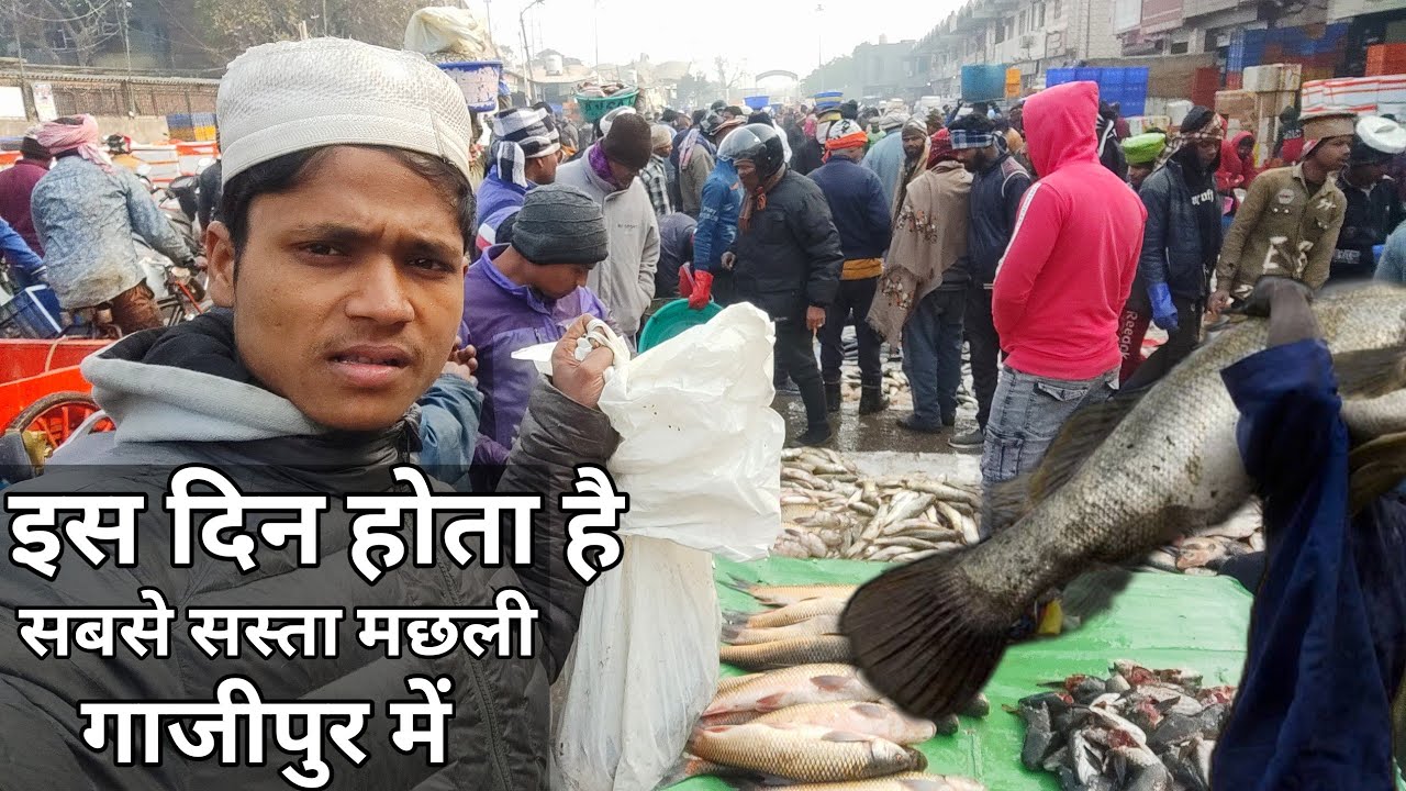 दिल्ली की सबसे बड़ी Fish Market 2025 | Biggest Wholesale Fish Market Delhi ghazipur fish Mandi