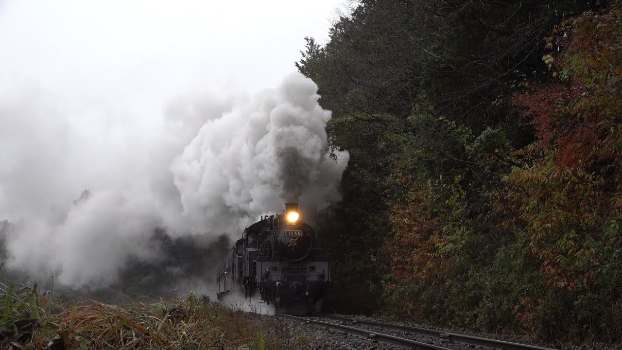 [4K]真岡鐵道 茂木-天矢場 C11 325 C12 66 2019.11.23