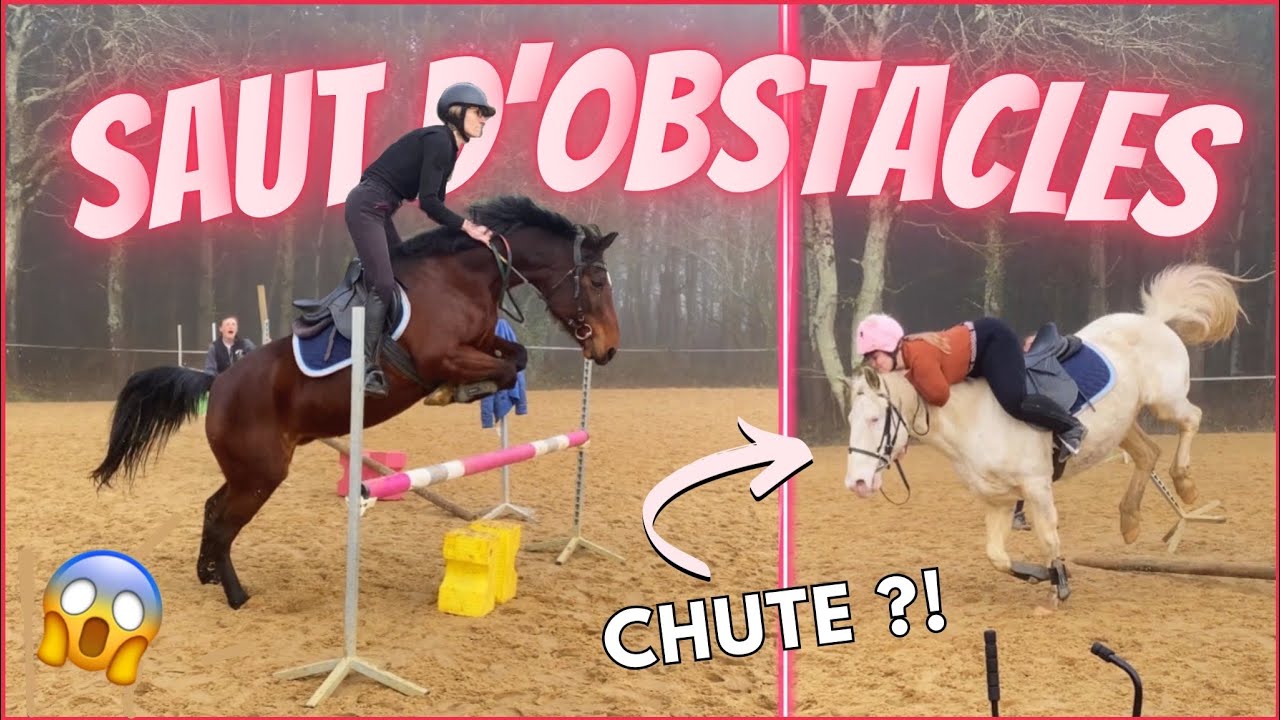 [COURS] Saut d'obstacles ! (CHUTE ?) 17/02/24 - CS'o Landreau
