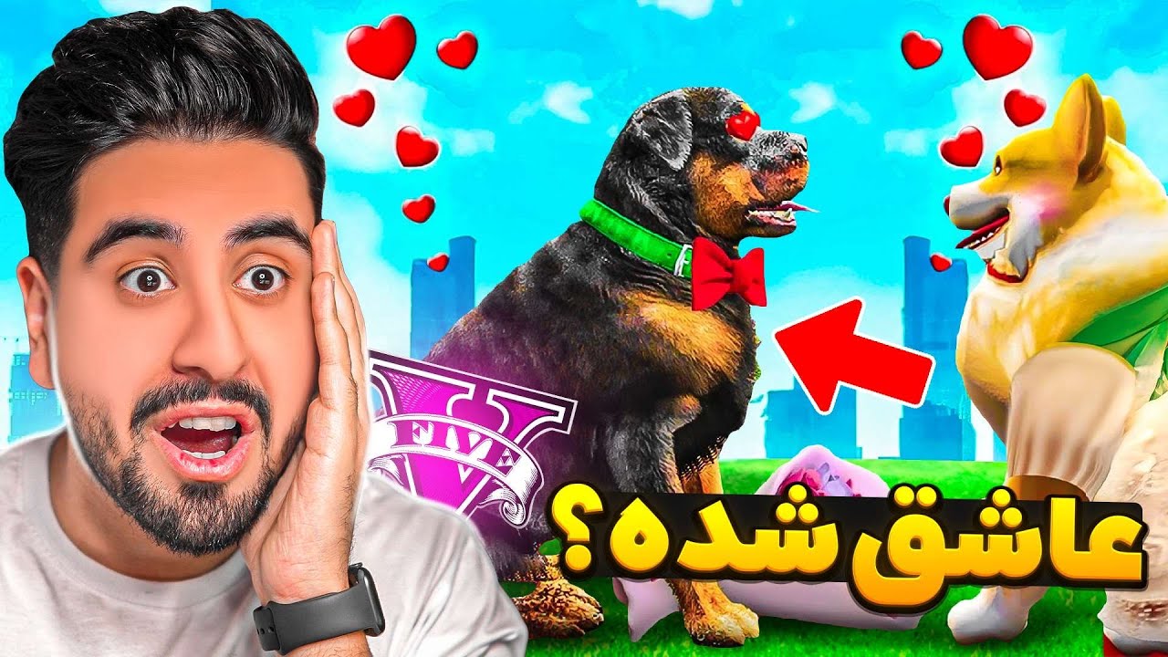 باورم نمیشه سگ فرانکلین ازدواج کرده!
