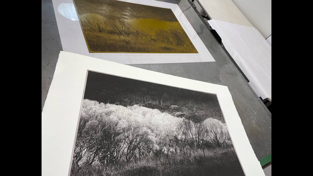 Photopolymer Photogravure Demonstration