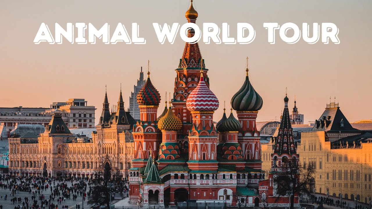 Animal World Tour: The Iconic Animals of Russia !