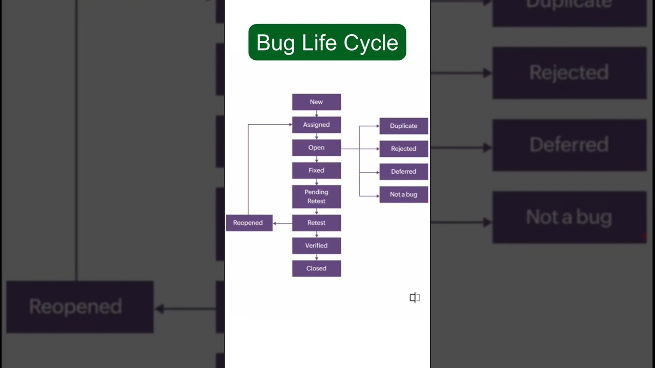 From New to Closed: Bug Life Cycle Explained Clearly.#shortsfeed #shorts #shortvideo #foryou #viral