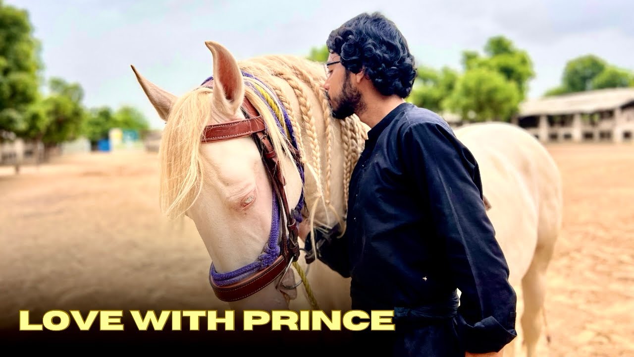 Most Beautiful Horse of Pakistan || Beautiful Dancer Horse || Chalbaz Horse Of Pakistan 🤩
