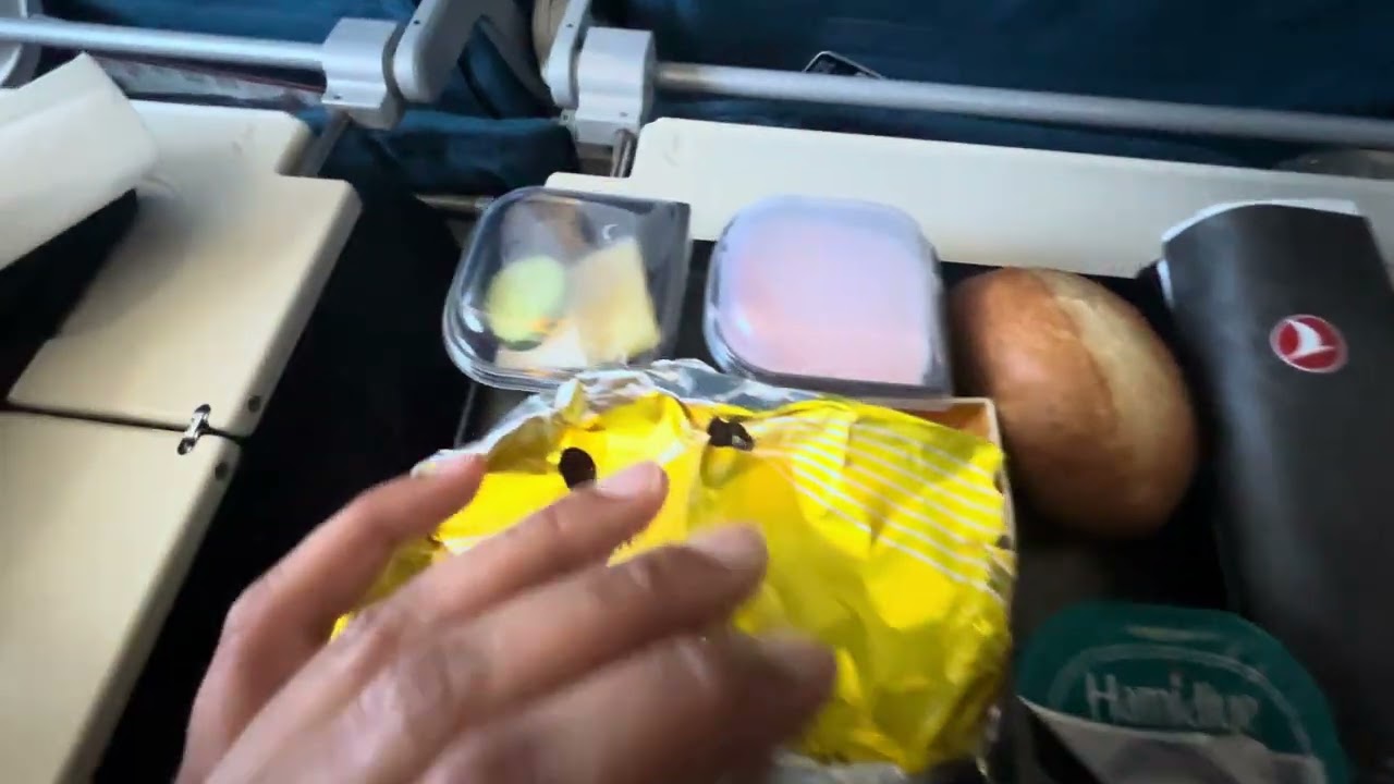 Turkish airline free food in the flight