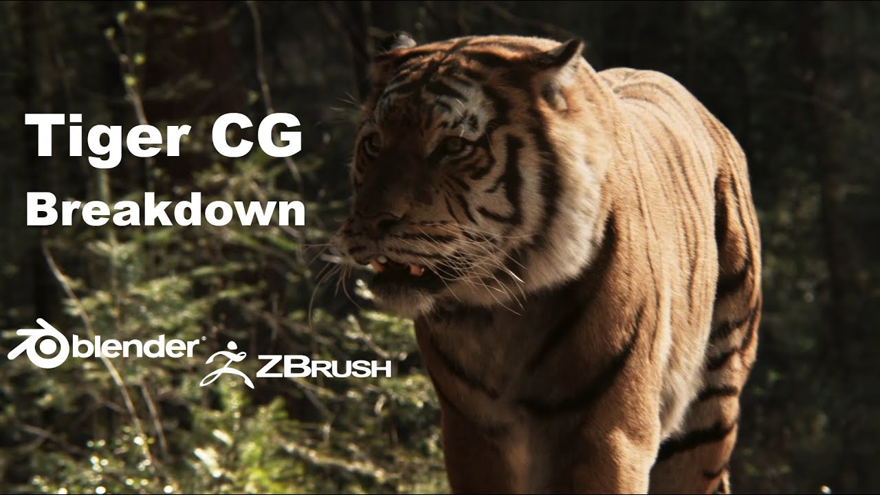 CG Tiger Breakdown | Blender Zbrush