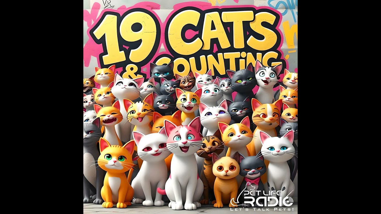 19 Cats and Counting Episode 155 Outdoor Cats, Stress, and Pandora Syndrome