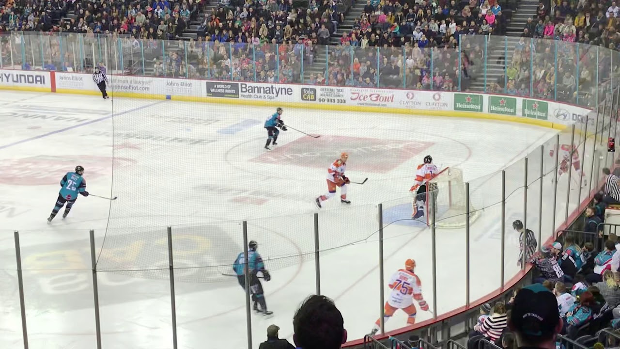 Belfast giants vs Sheffield steelers 05-01-19