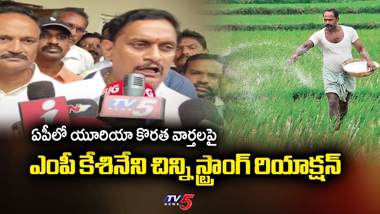 Vijayawada MP Kesineni Chinni Strong Reaction on Urea Shortage in AP News | TV5 News