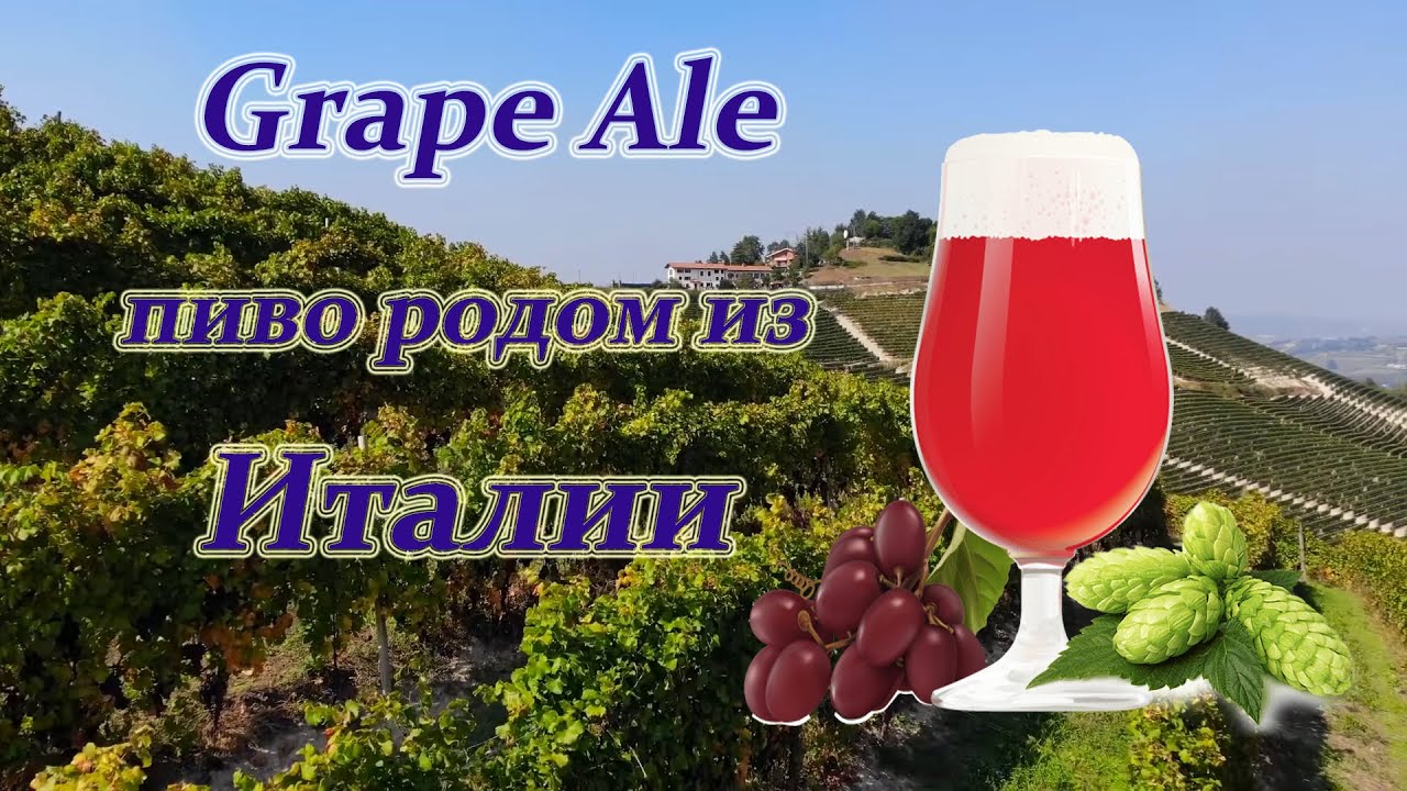 Grape Ale. Пиво родом из Италии