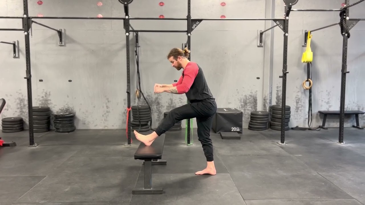 Hamstring PAILs/RAILs