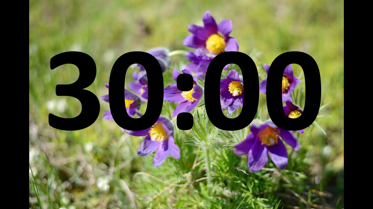 SPRING countdown TIMER. 30 MINUTES.