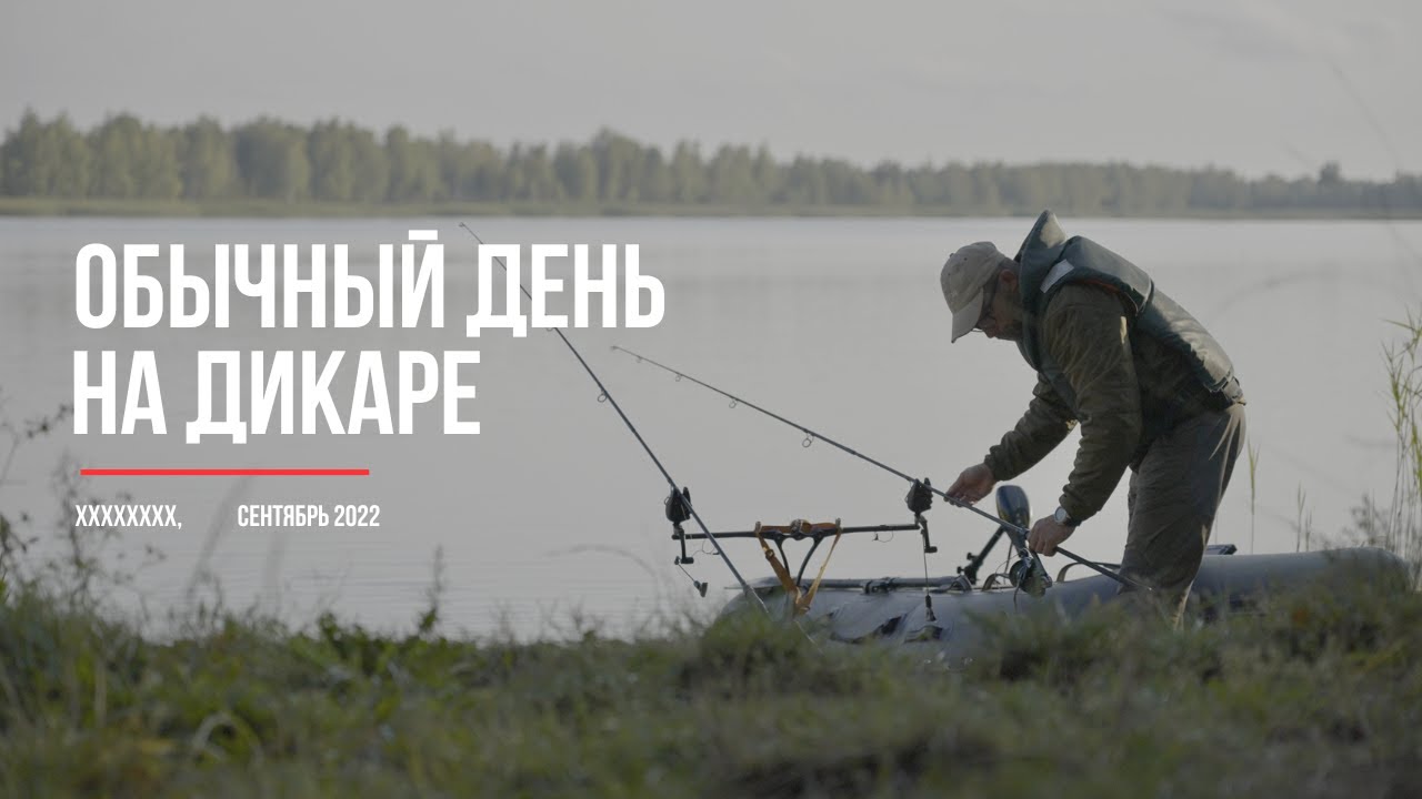 Ловля карпа в завоз на дикаре. Один день.
