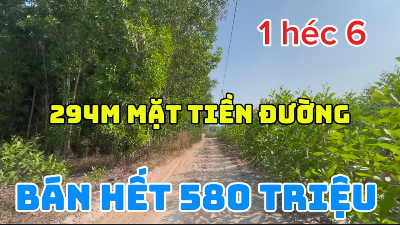 Cần bá 16.000m2 có 294m mặt tiền đường giá bán hết đất chỉ 580 triệu định quán tỉnh đồng Nai 
