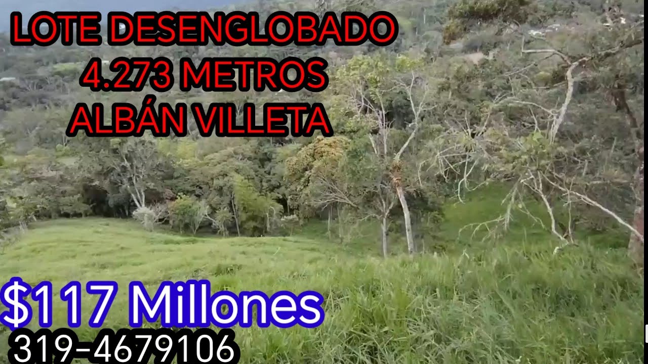 ✳️117 Millones.. (LOTE DESENGLOBADO 4.273 METROS ALBAN VILLETA) 319-4679106