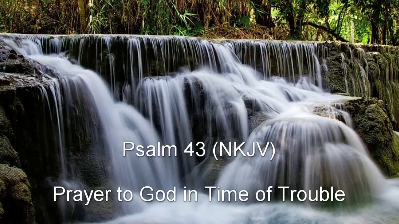 Psalm 43 (NKJV) - Prayer to God in Time of Trouble