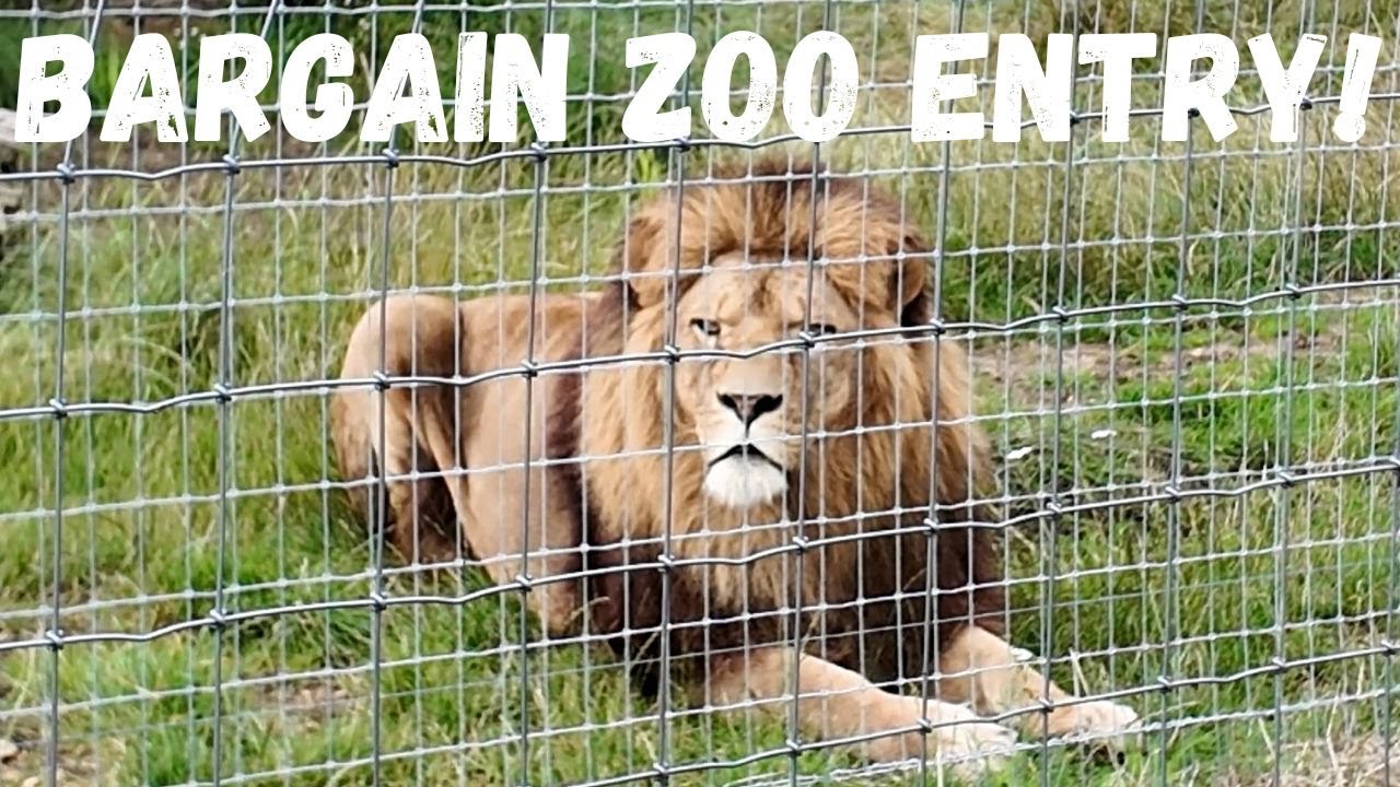 Bargain zoo trip! Only £5!