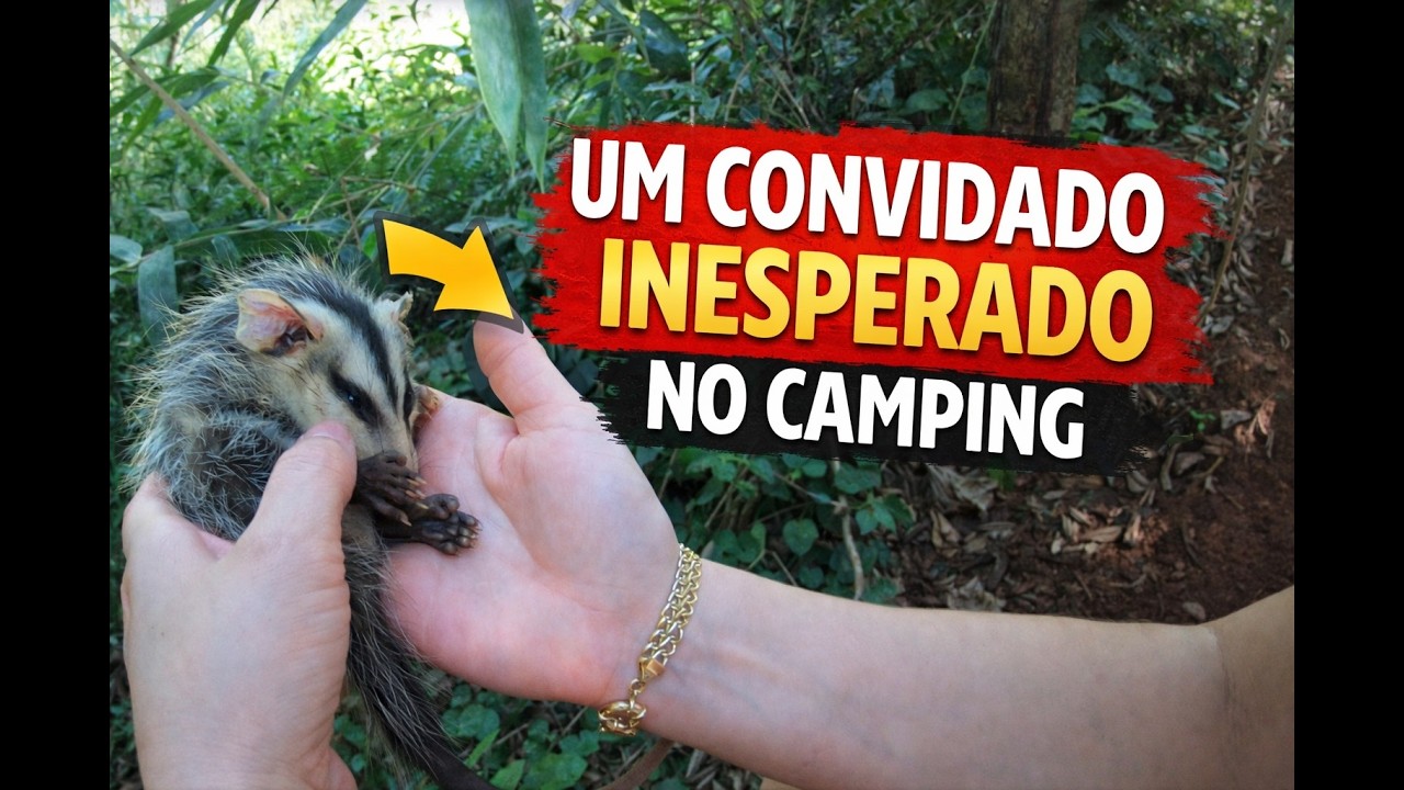UM CONVIDADO INESPERADO NO CAMPING