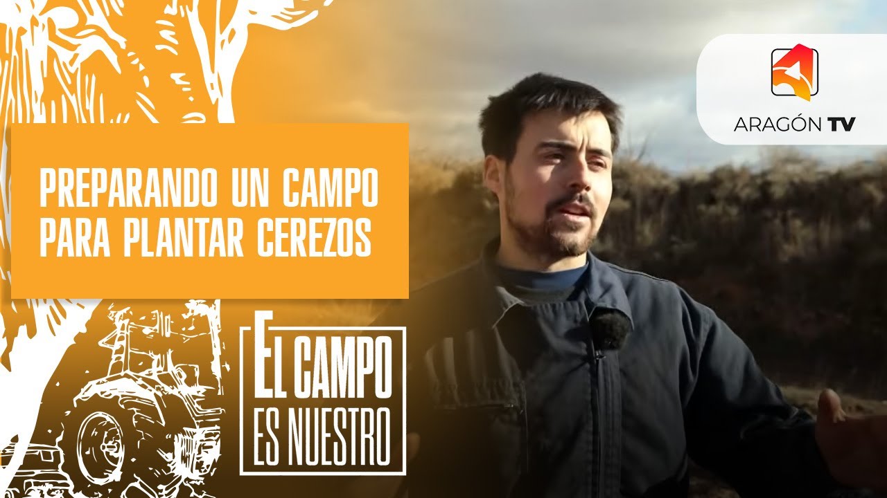 Josema prepara un campo para plantar cerezos