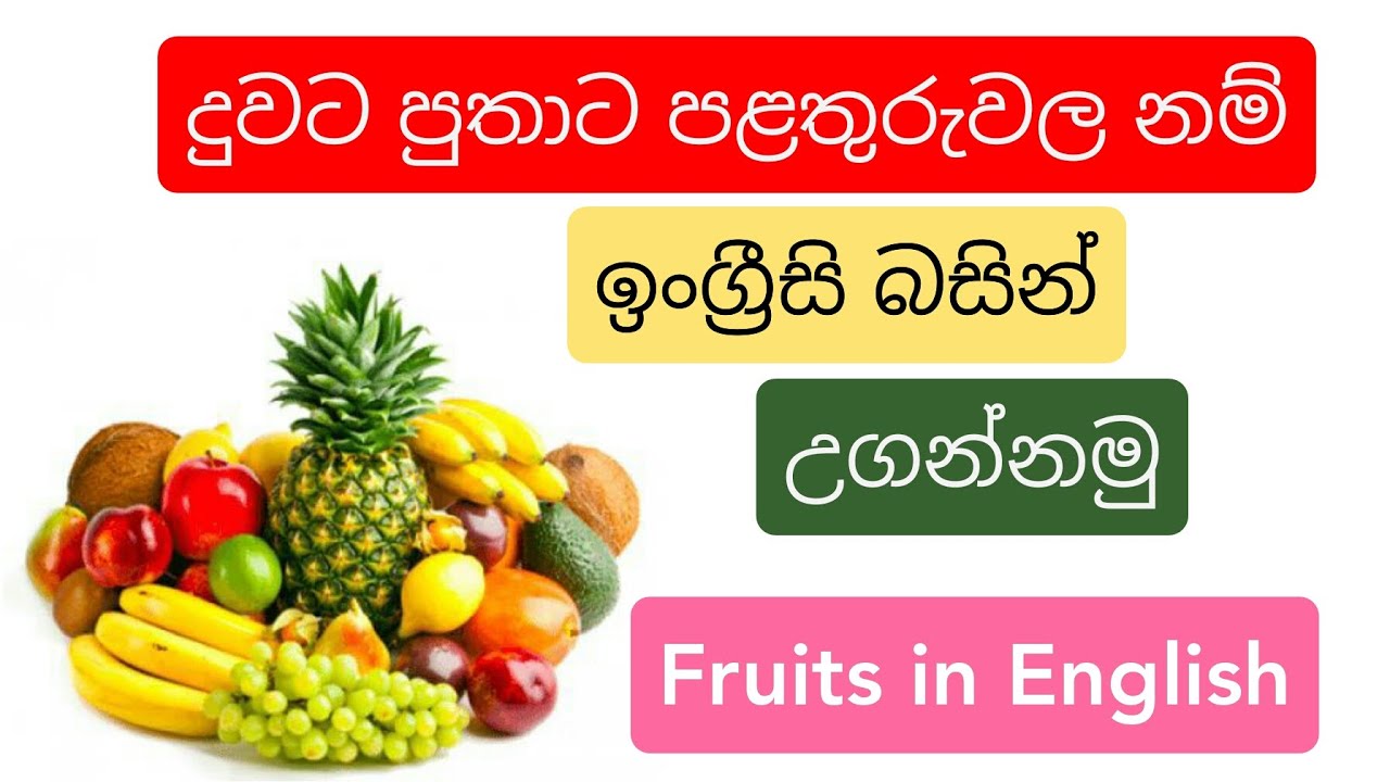 Fruits names in English and Sinhala | පළතුරුවල නම් ඉංග්‍රීසියෙන් සහ සිංහලෙන් | Names of the fruits