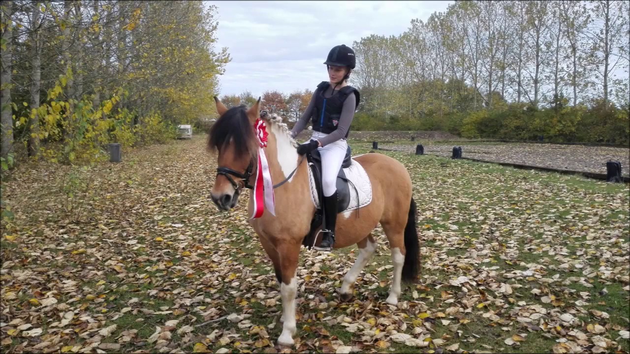 H&oslash;jris Rideklub - Elevst&aelig;vne 2016