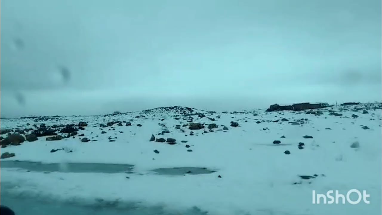 🚨عتقو كواليس حصرية الضاصرة وتيتيما اتافقو على البقة والديوتي مصدوم 😲 دارتها سوسو والبقة كتغلي 