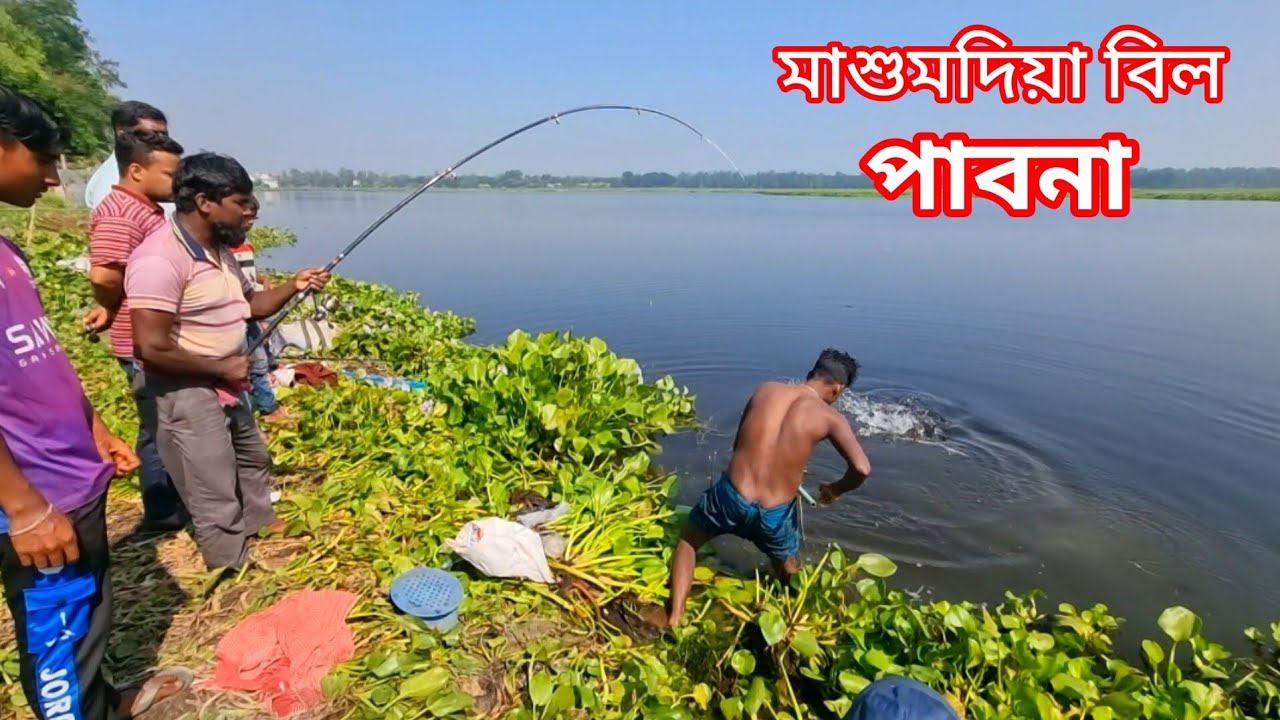 এ বছরের সেরা রুই মাছ ধরা ভিডিও 🎣 বিলে রুই মাছ শিকার | Fishing video | Fishing BD Fast Tv 