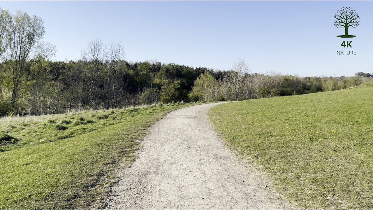 Warm light over the trail ahead