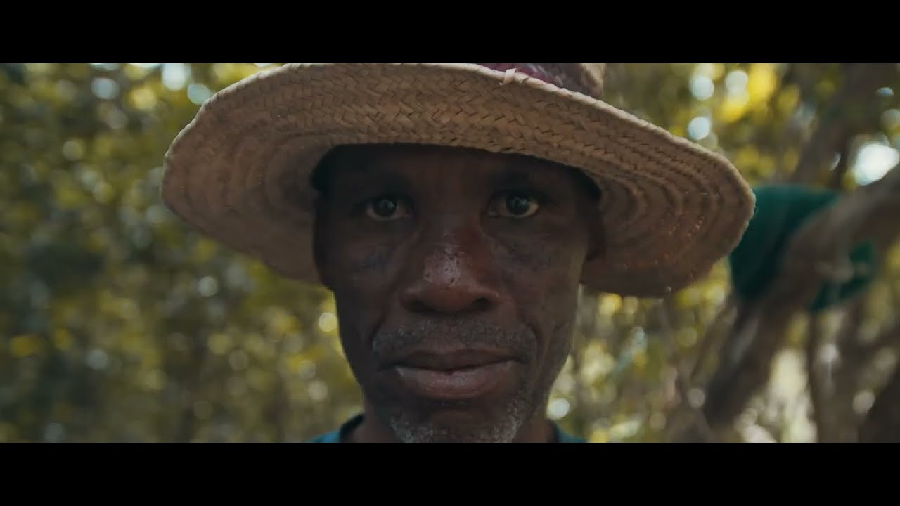 Rebranding Africa | One Story at a Time - A TAP ShowReel